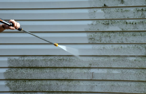 Best Residential Pressure Washing Services  in Millcreek, UT