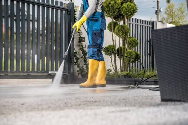 Best Exterior Home Cleaning  in Millcreek, UT