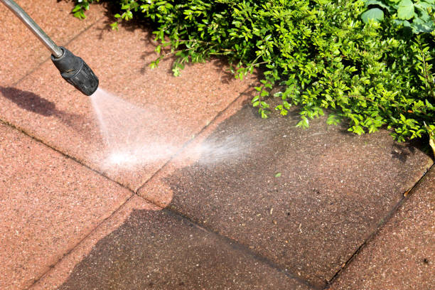 Best Commercial Building Pressure Washing  in Millcreek, UT